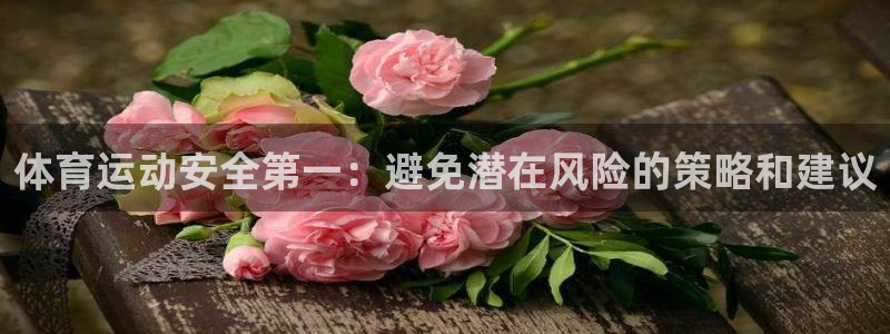 哈哈体育十年：体育运动安全第一：避免潜在风险的策略和建议