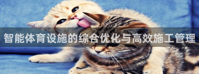 哈哈体育：智能体育设施的综合优化与高效施工管理