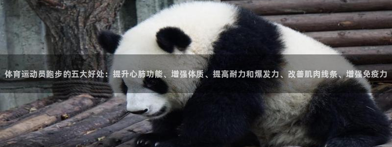 哈哈体育下载：体育运动员跑步的五大好处：提升心肺功能、增强体质、提高耐力和爆发力、改善肌肉线条、增强免疫力