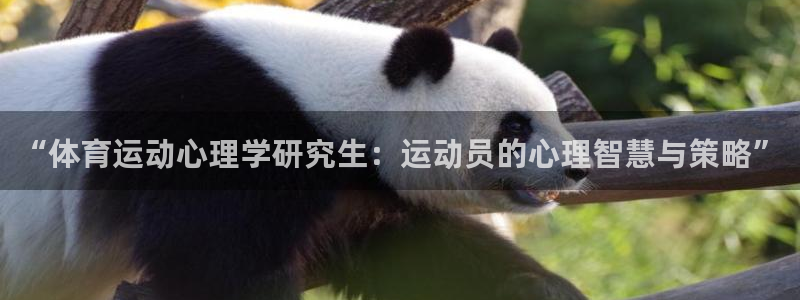 哈哈体育：“体育运动心理学研究生：运动员的心理智慧与策略”