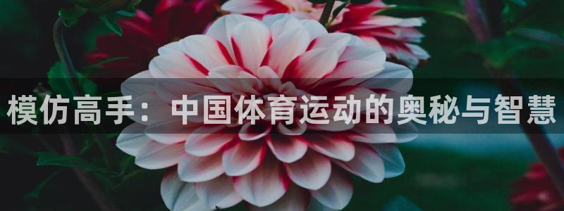 哈哈体育：模仿高手：中国体育运动的奥秘与智慧